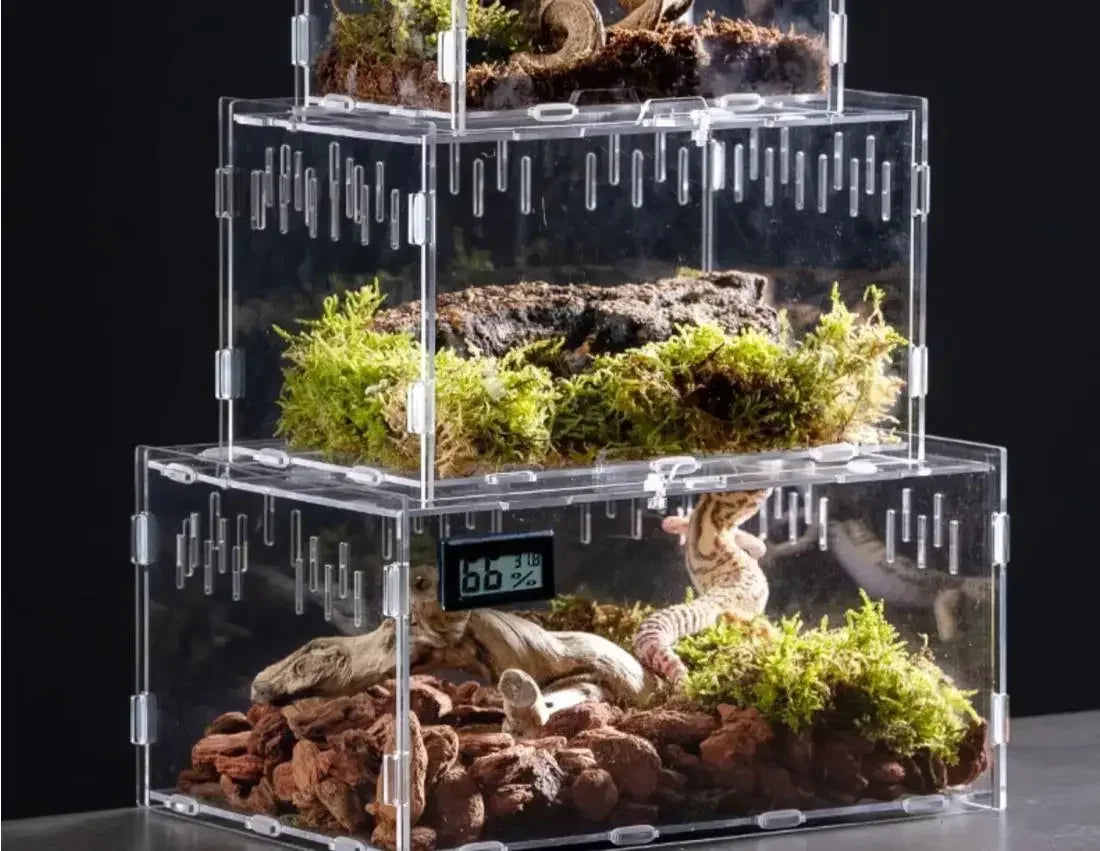 Acrylic Reptile Terrarium – Nano Breeding Box for Spider, Scorpion & Lizards