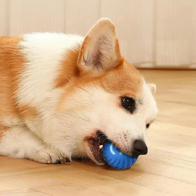 Smart Interactive Pet Toy Ball – USB Automatic Bouncing for Dogs & Cats