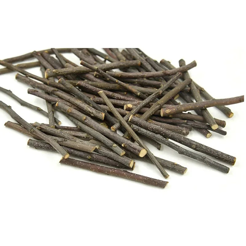 Apple Tree Chew Sticks – Natural Grinding Toys for Hamsters, Rabbits & Parrots