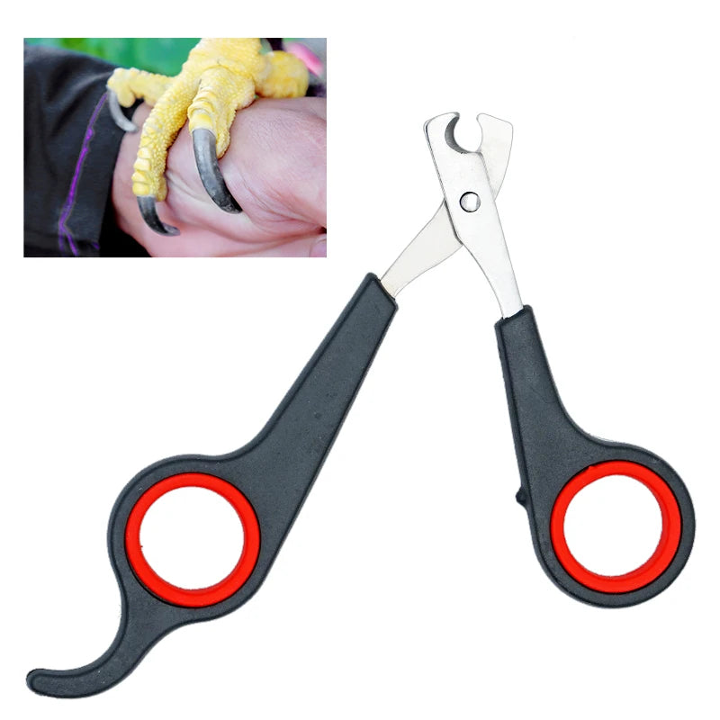 Bird Nail Clippers – Parrot Nail Trimmer Scissors for Safe Claw Grooming & Cutting