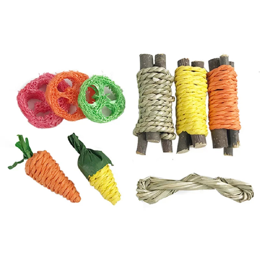 Pet Tooth Grinding Set – Chew Toys & Snacks for Rabbits, Guinea Pigs & Hamsters