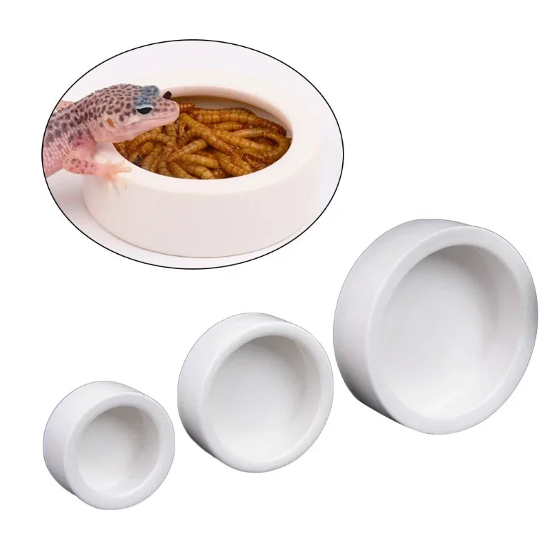 Anti-Escape Ceramic Reptile Bowl – Feeder & Water Dish for Small Pets