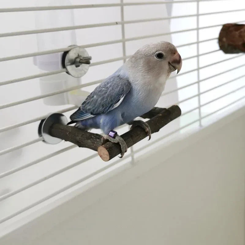 Natural Wood Branch Stand – Chew Toy Perch for Parrots, Hamsters & Birds