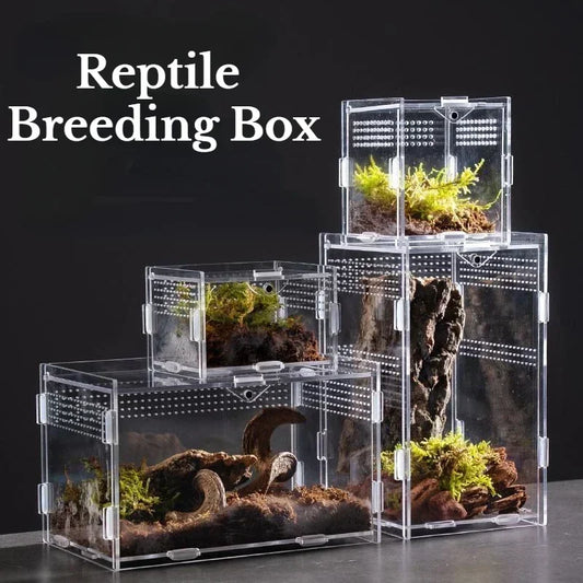 Acrylic Reptile Terrarium – Nano Breeding Box for Spider, Scorpion & Lizards