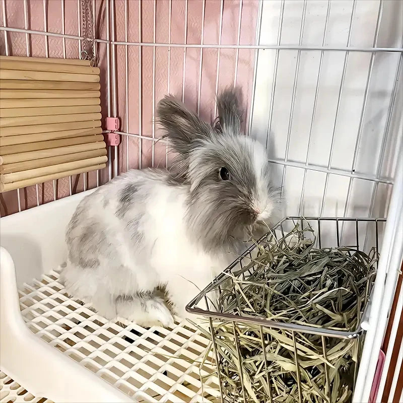 Rabbit Hay Feeder Rack – Grass Frame & Food Bowl for Small Pets