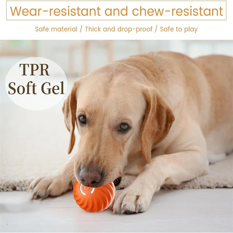 Smart Interactive Pet Toy Ball – USB Automatic Bouncing for Dogs & Cats