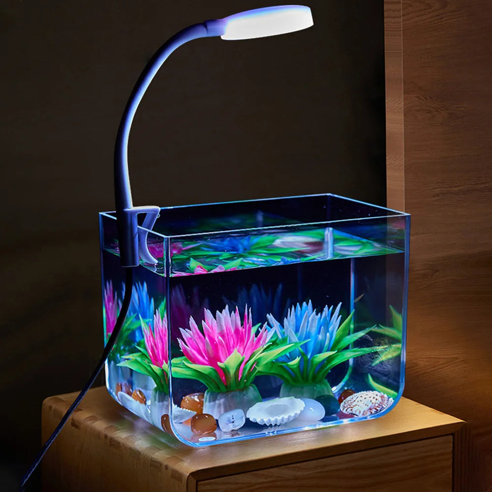 Aquarium Starter Kit – Square Tank with Clamp Light for Desk Decor
