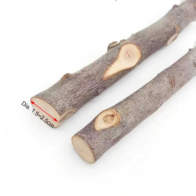 Natural Wood Branch Stand – Chew Toy Perch for Parrots, Hamsters & Birds