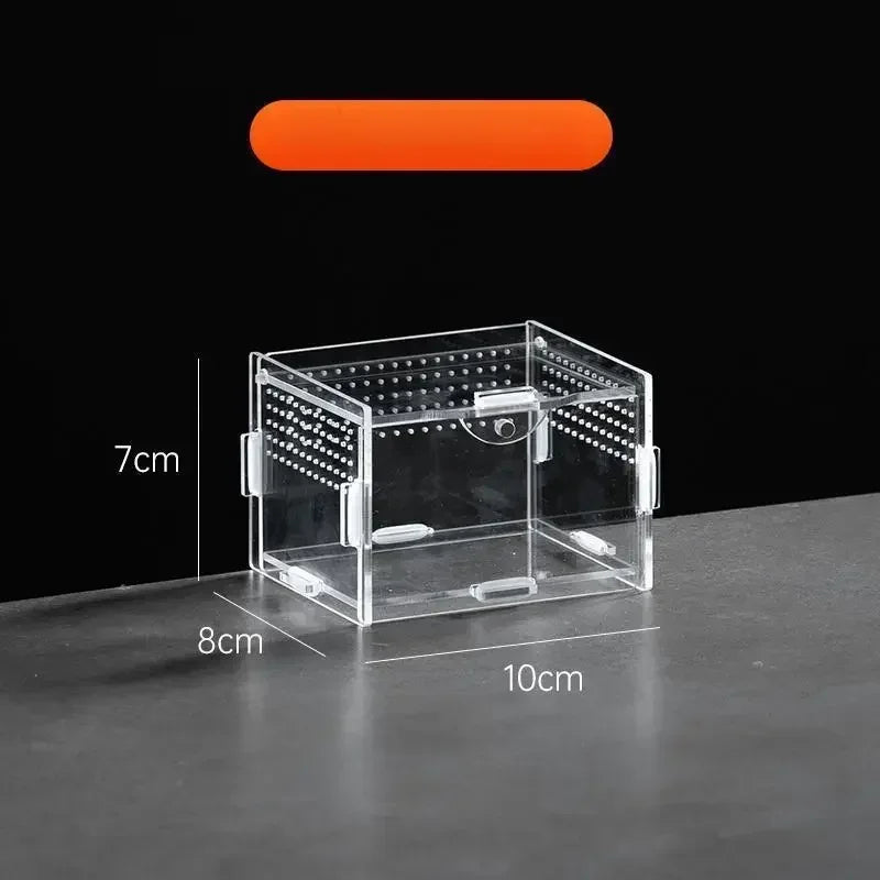 Acrylic Reptile Terrarium – Nano Breeding Box for Spider, Scorpion & Lizards