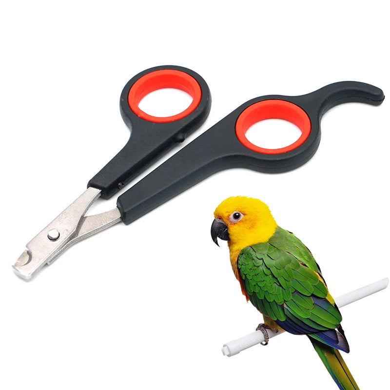 Bird Nail Clippers – Parrot Nail Trimmer Scissors for Safe Claw Grooming & Cutting