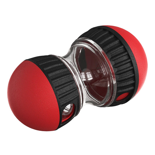 IQ Training Dog Toy – Slow Feeder for Small to Large Dogs, Indoor Puppy Toy