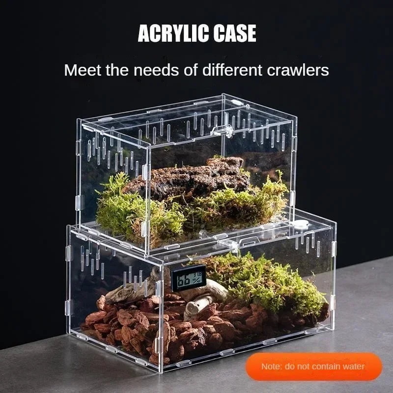 Acrylic Reptile Terrarium – Nano Breeding Box for Spider, Scorpion & Lizards