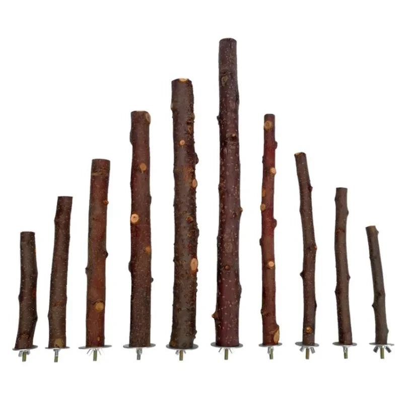 Natural Wood Branch Stand – Chew Toy Perch for Parrots, Hamsters & Birds