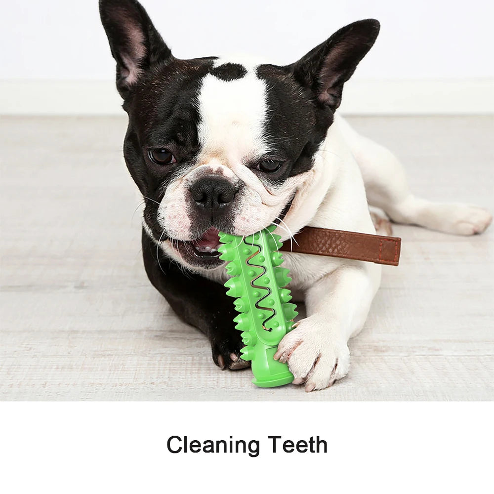 Large Dog Toothbrush Chew Toys Safe Bite Resistant Puppy Dental Care Pet Cleaning Toy For Golden Retriever Pug Treat Dispenser
