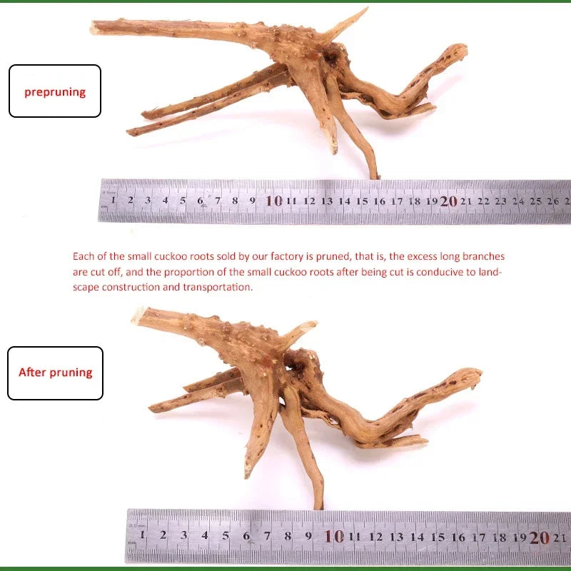 Natural Driftwood Roots – Small Aquarium Decoration & Habitat Ornament