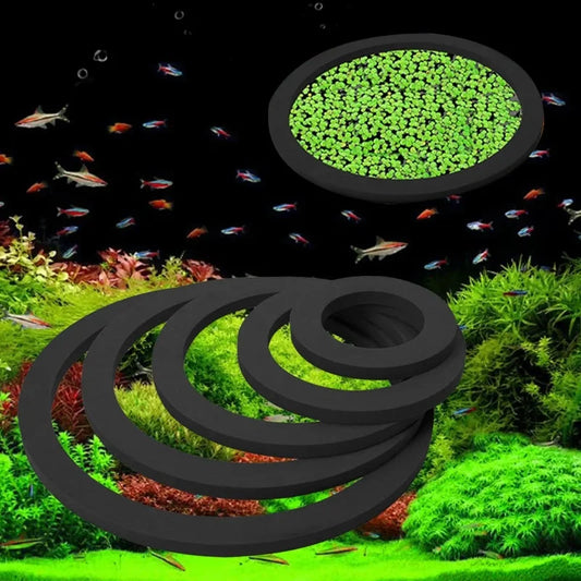 5pcs Floating Plant Rings – Fish Feeding & Grass Blockers for Aquarium