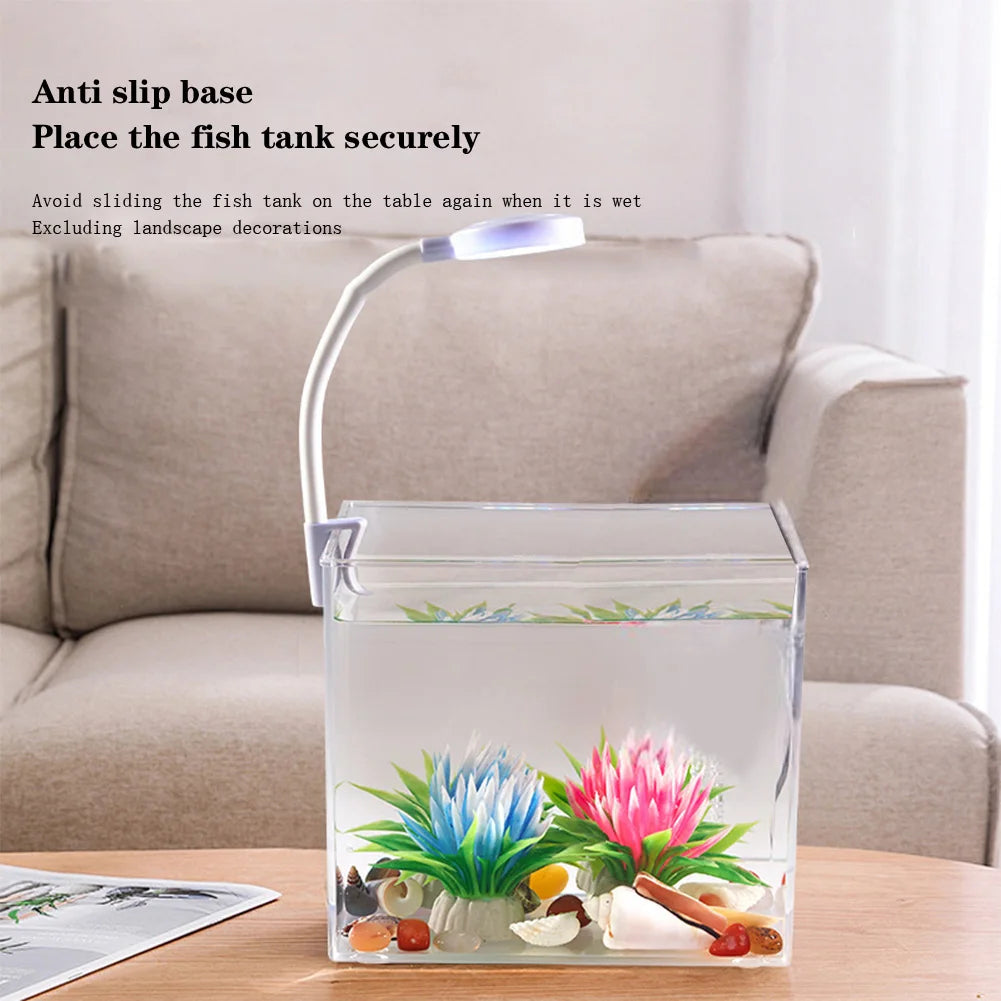 Aquarium Starter Kit – Square Tank with Clamp Light for Desk Decor