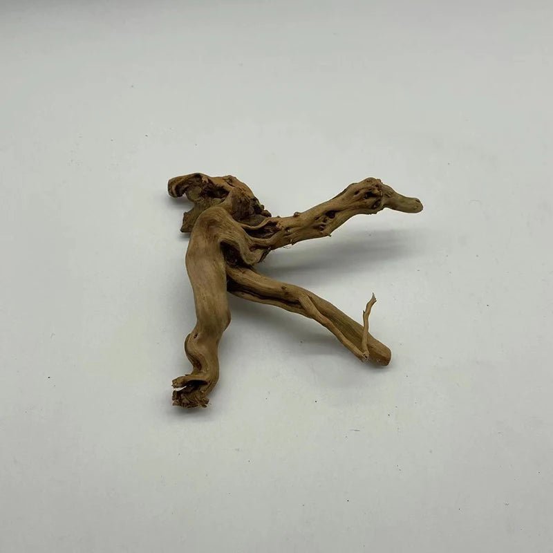 Natural Driftwood Tree Trunk – Aquarium Plant & Fish Tank Decoration - The Best For Pets