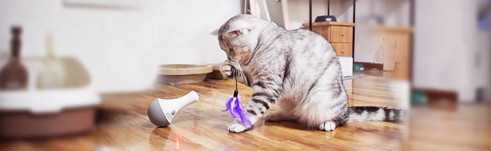Interactive Cat Feather Toy – Automatic Teaser for Indoor Play | Fun Kitten Gift & Enrichment Toy