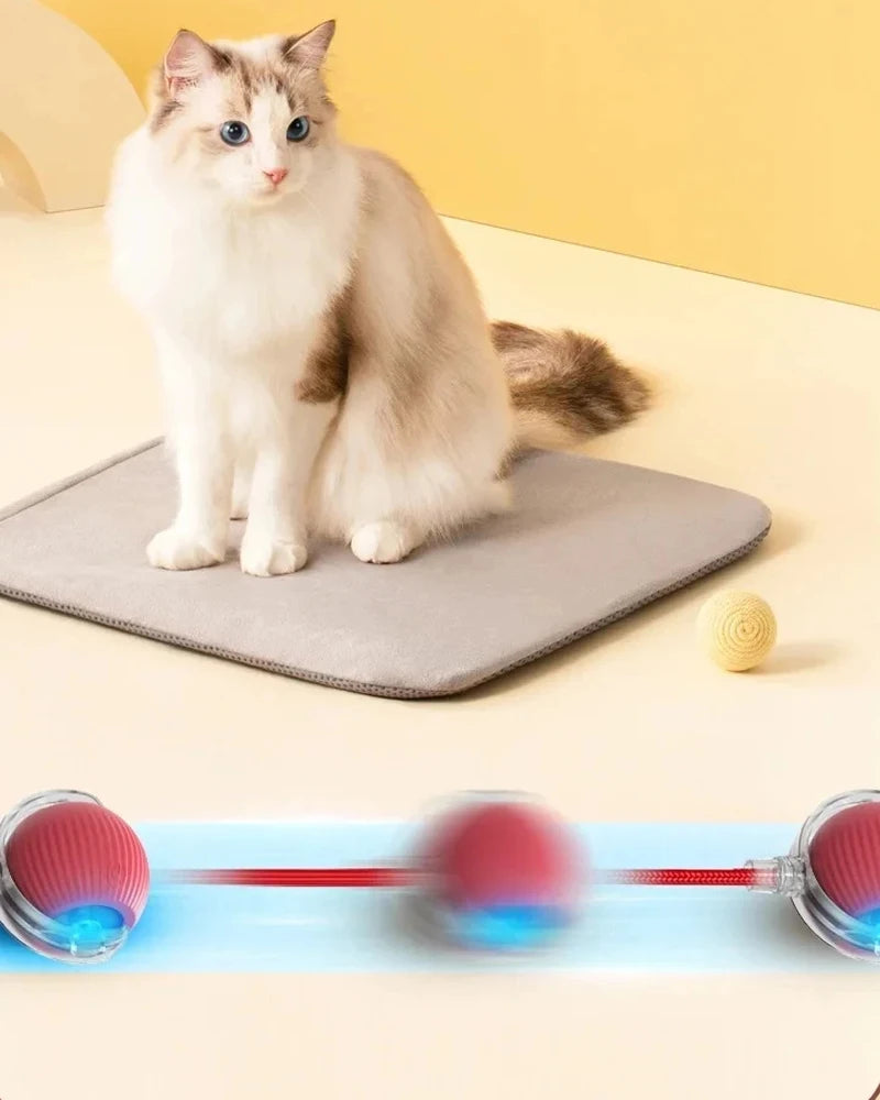 Rechargeable Smart Cat Ball – Automatic Rolling Toy with Teaser & Sensor