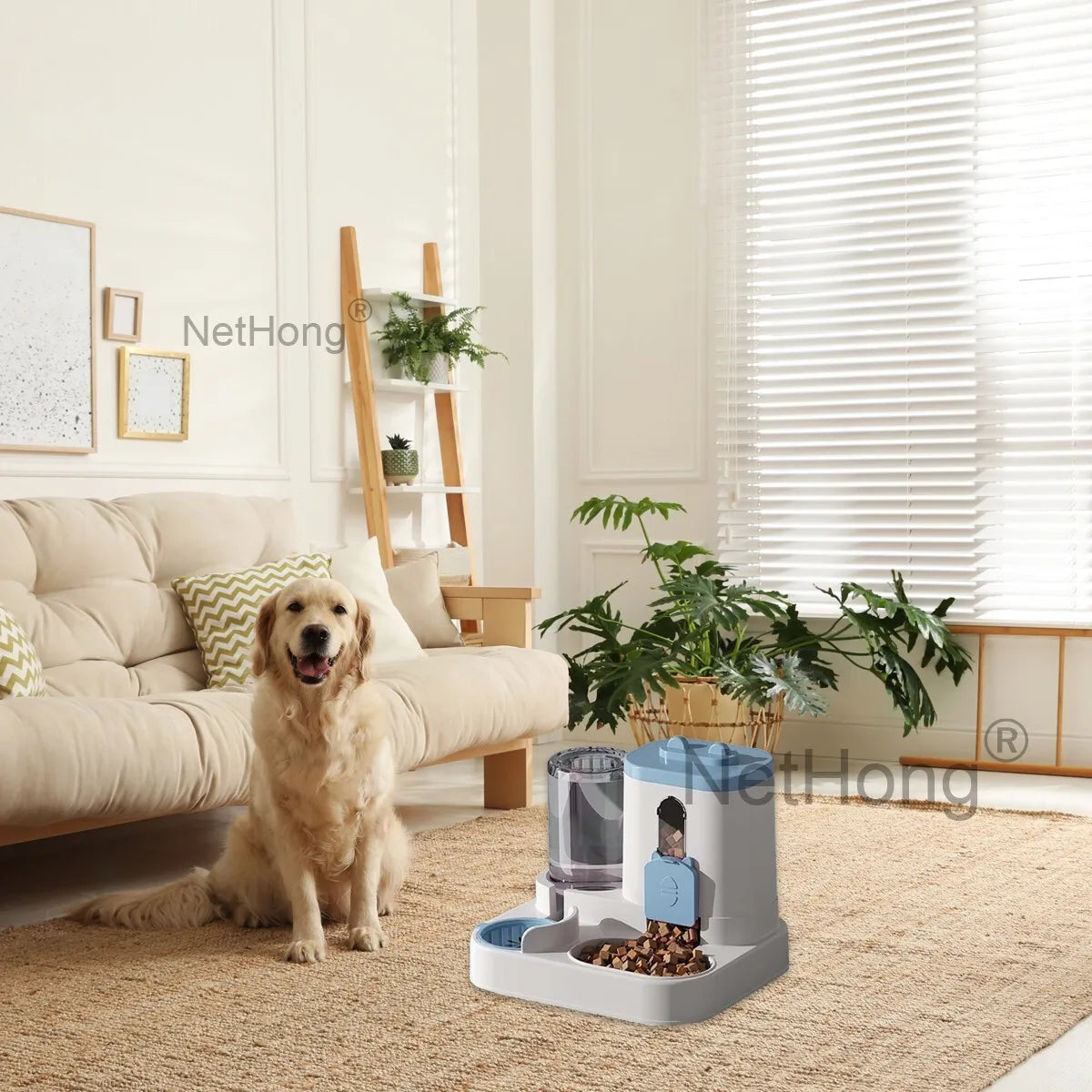 Automatic Cat Dispenser Set 2 In 1 Tilted Pet Food And Water Feeder