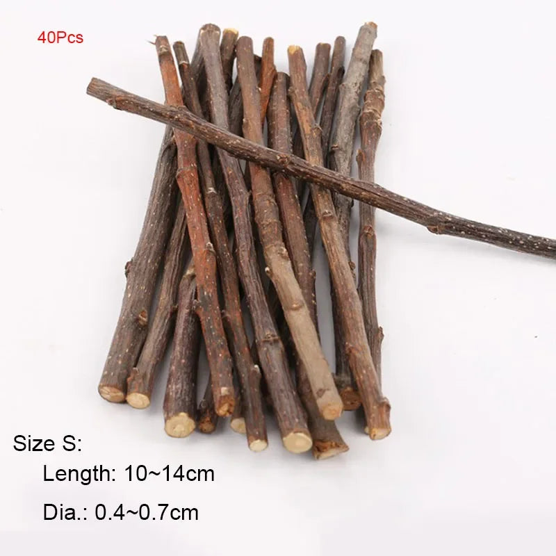 Apple Tree Chew Sticks – Natural Grinding Toys for Hamsters, Rabbits & Parrots