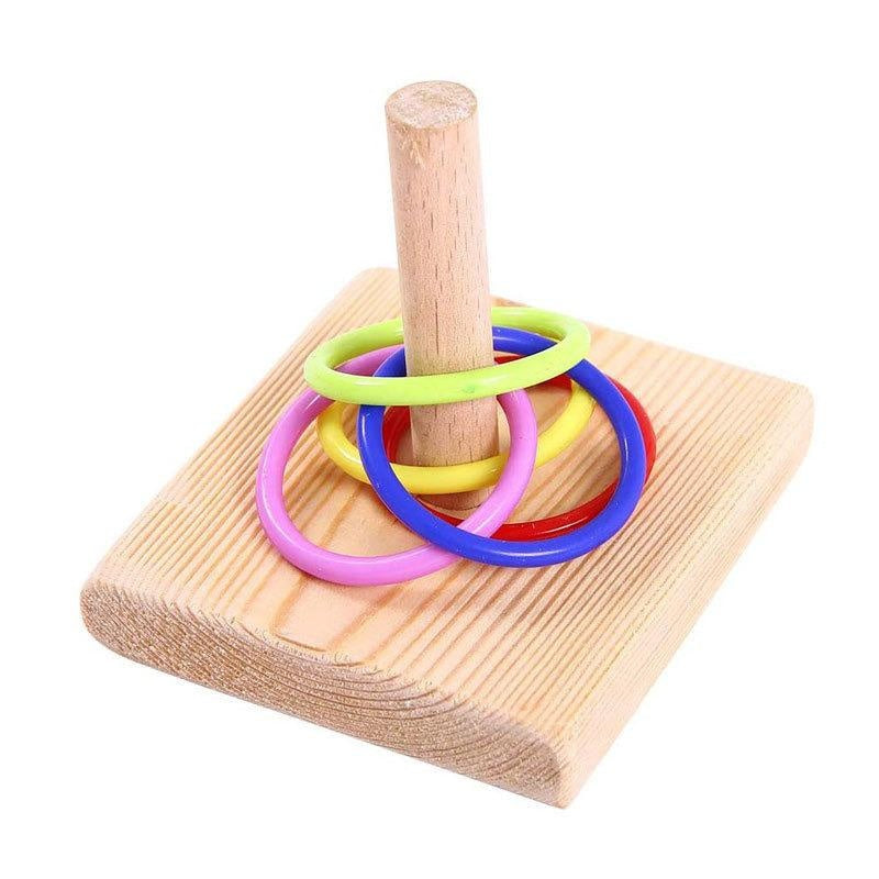Parrot Training Ring Toy – Interactive Educational Bird Toy