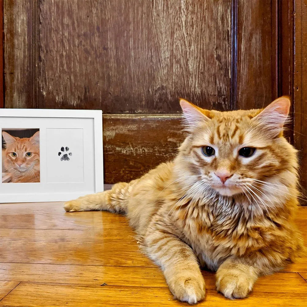 Paw Print Ink Pad Kit – Safe, Non-Toxic Inkless Pad for Pet & Baby Keepsake Prints