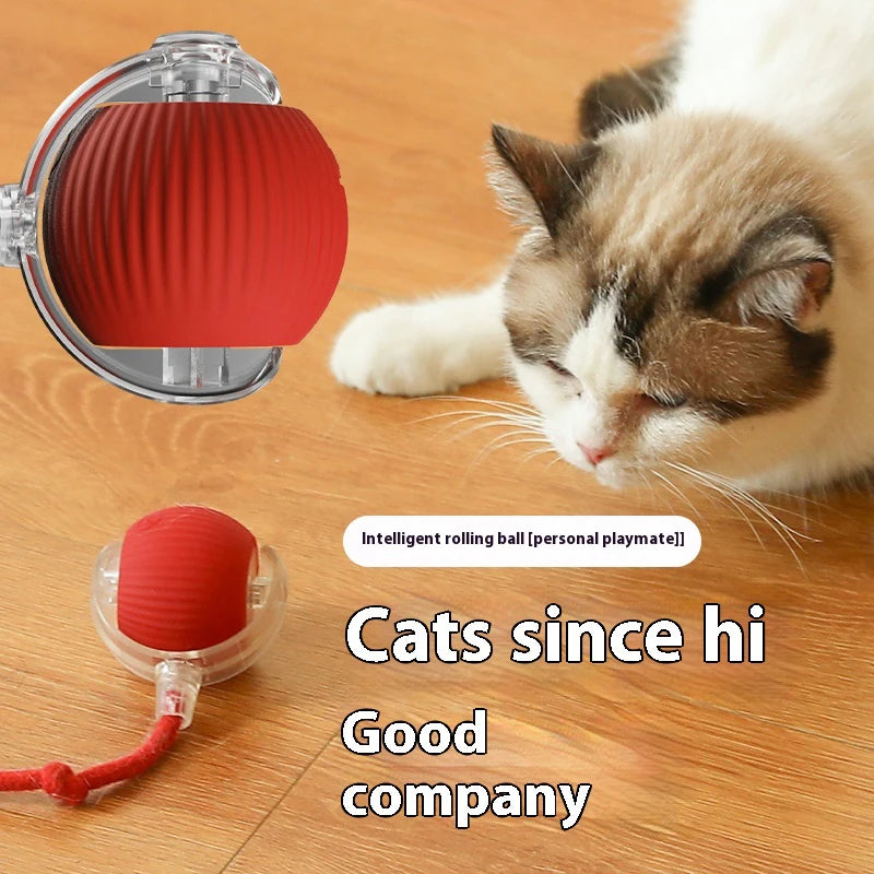 Rechargeable Smart Cat Ball – Automatic Rolling Toy with Teaser & Sensor