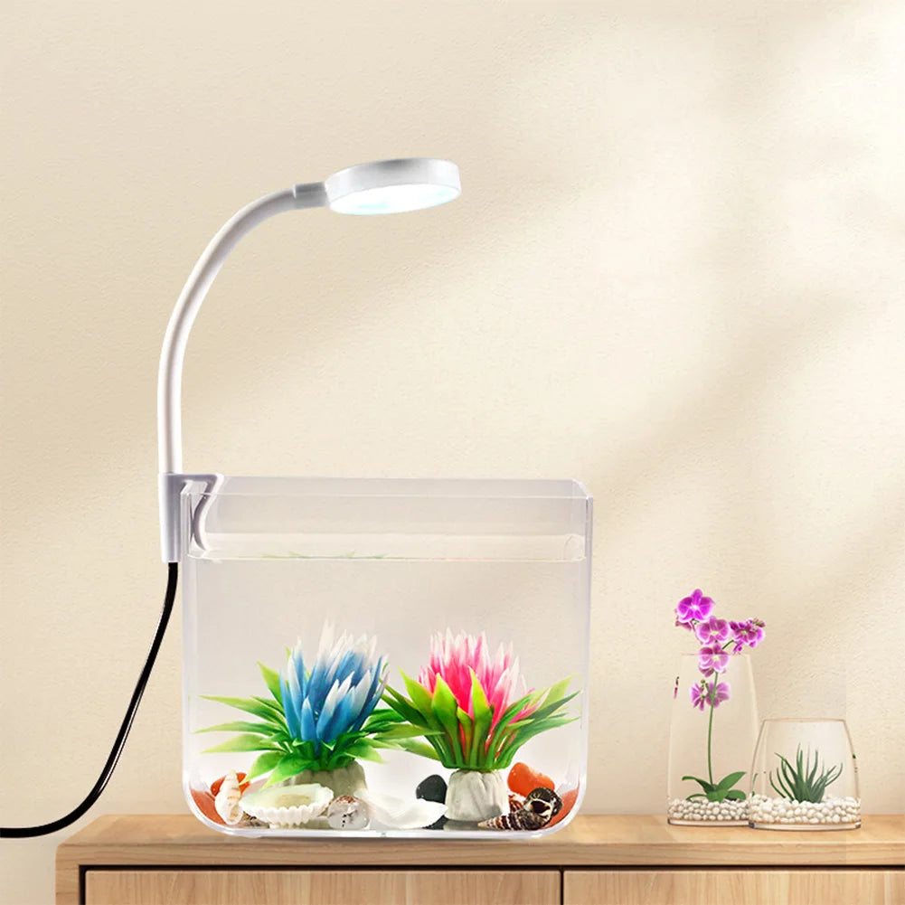 Aquarium Starter Kit – Square Tank with Clamp Light for Desk Decor