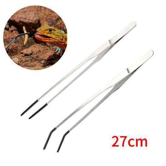 Feeding Tweezers – Straight & Curved Stainless Steel Tongs for Reptiles