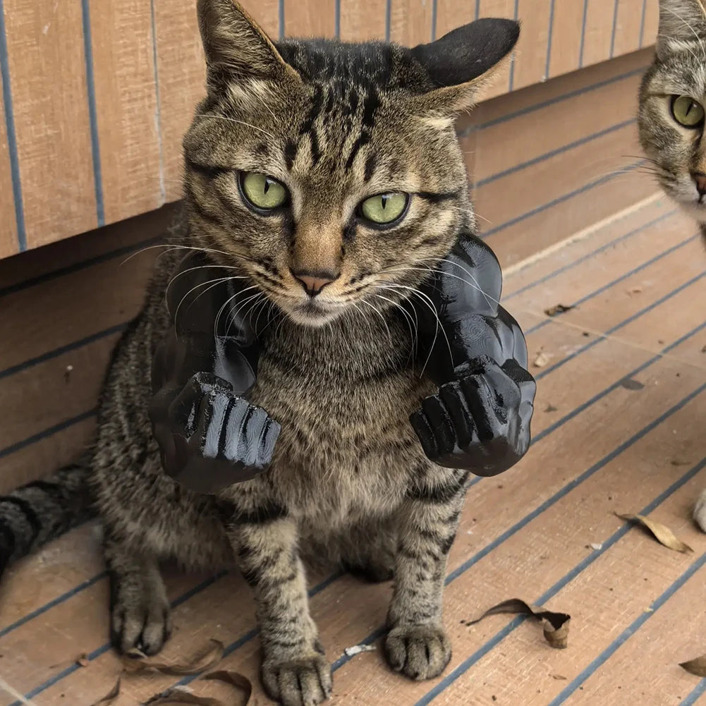 Funny 3D Cat Muscle Arm Costume – Hilarious Pet Cosplay Accessory for Halloween, Parties & Photos