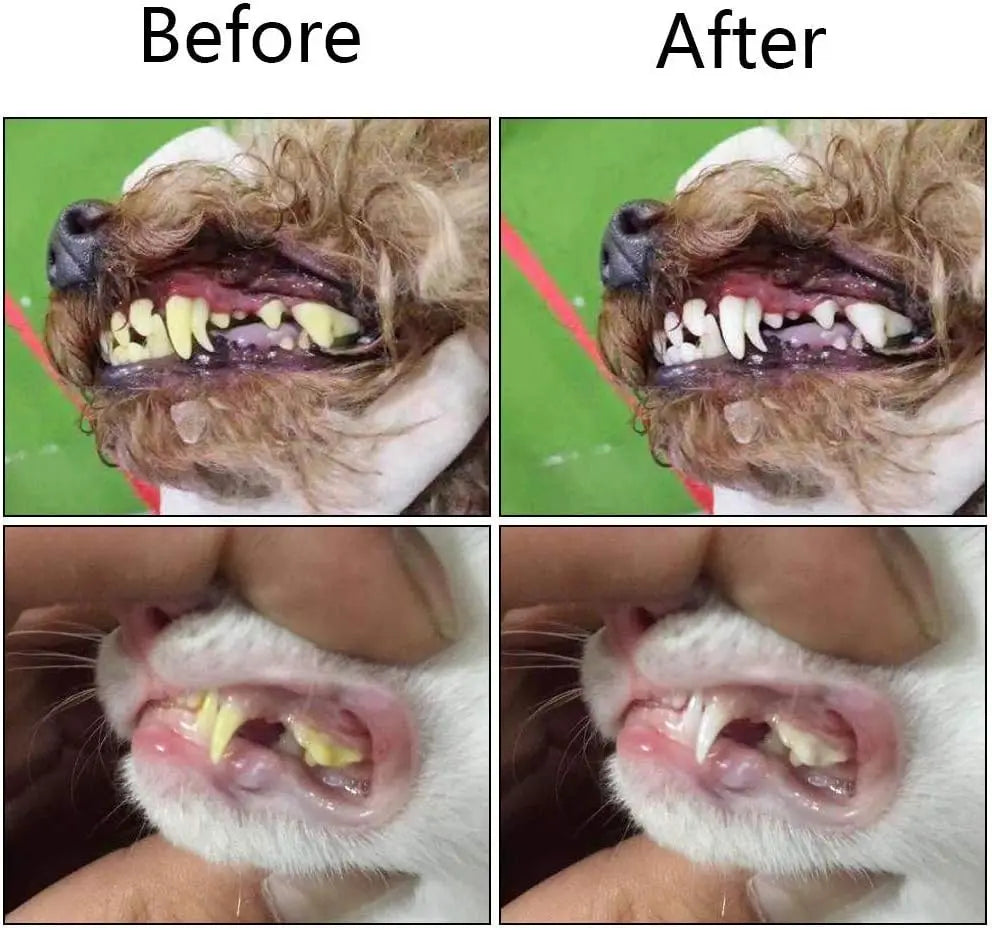 Pet Finger Toothbrush – Soft Tartar Remover for Dogs & Cats