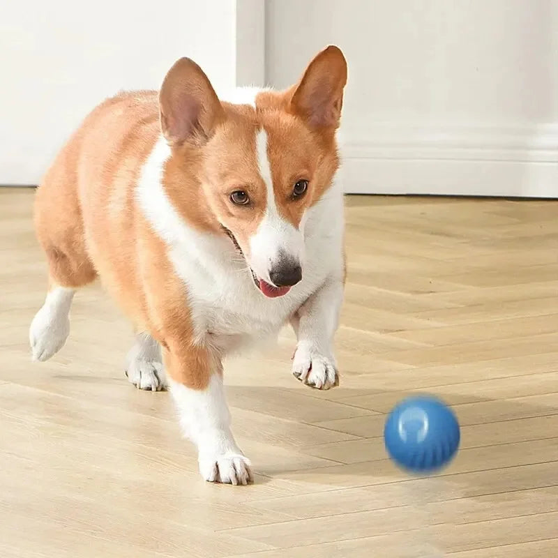 Smart Interactive Pet Toy Ball – USB Automatic Bouncing for Dogs & Cats
