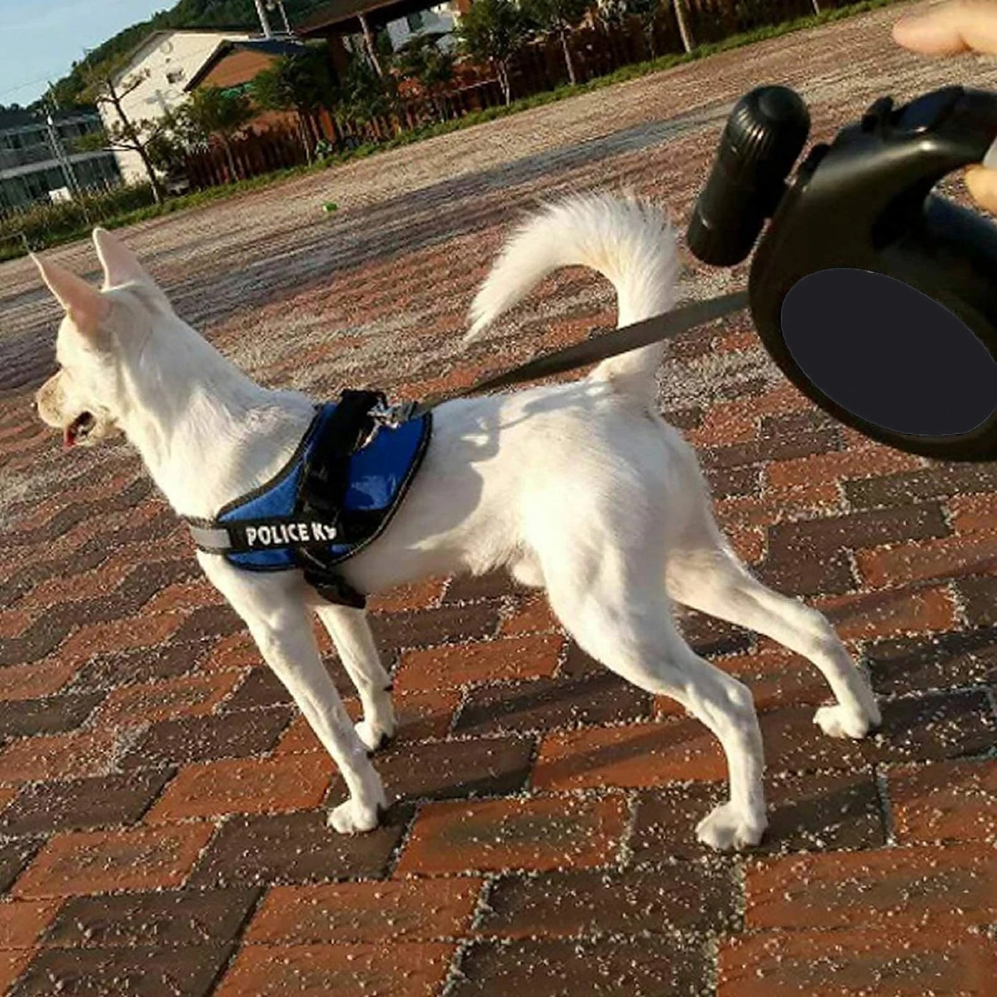 8m Retractable Dog Leash with Flashlight – Strong, Lockable Lead for Large Dogs up to 50kg