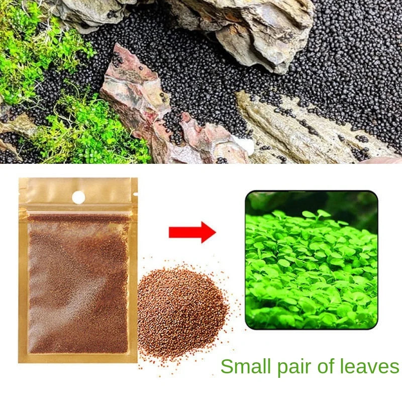 Aquarium Plant Soil – Fertile Substrate for Fish Tank Plants & Decor