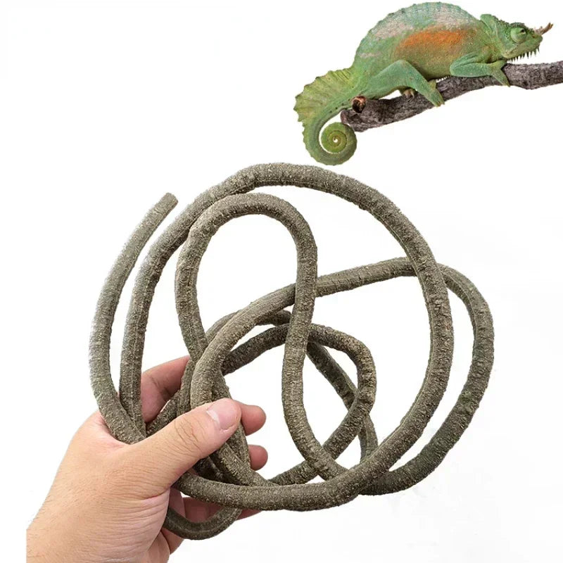 Flexible Rattan Vines – Bendable Jungle Branches for Reptile Terrarium Decor