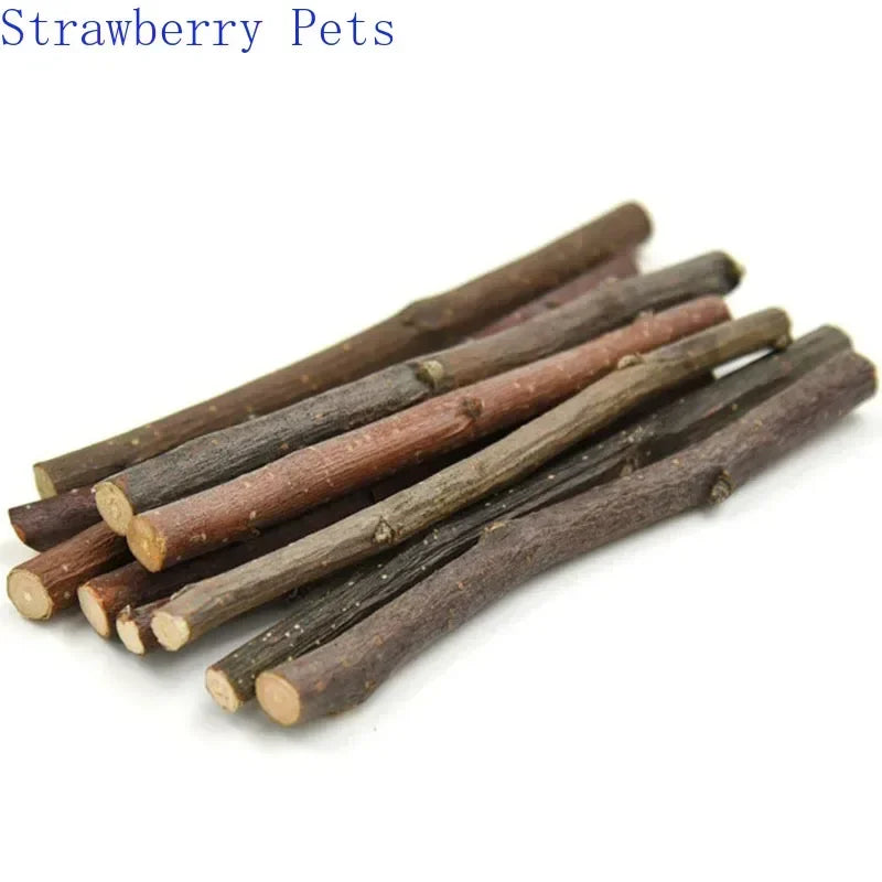 Apple Tree Chew Sticks – Natural Grinding Toys for Hamsters, Rabbits & Parrots