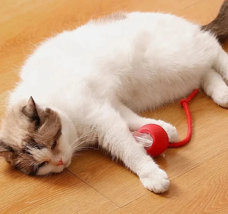 Rechargeable Smart Cat Ball – Automatic Rolling Toy with Teaser & Sensor