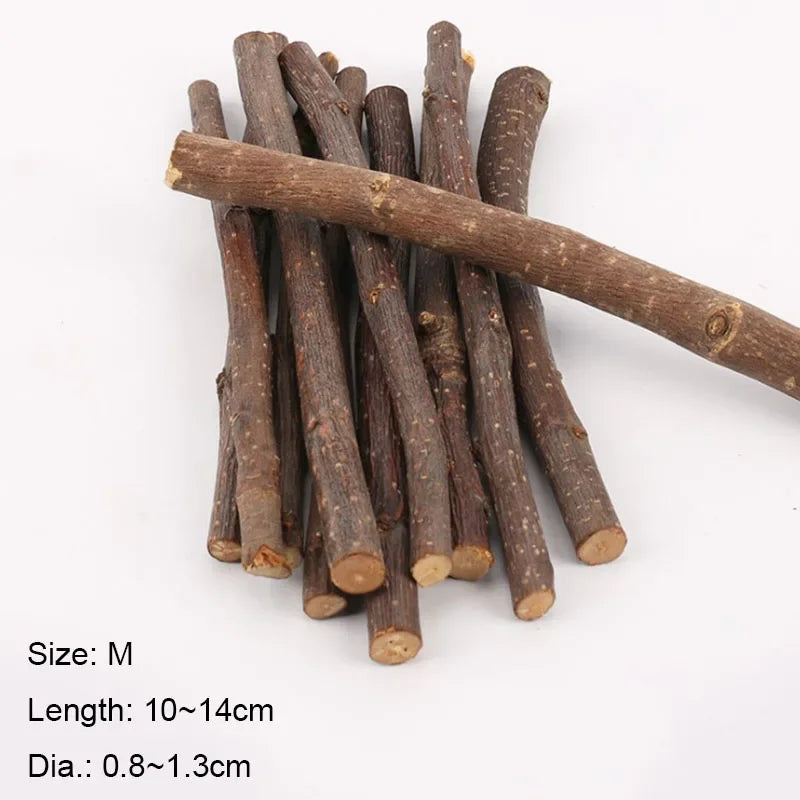 Apple Tree Chew Sticks – Natural Grinding Toys for Hamsters, Rabbits & Parrots