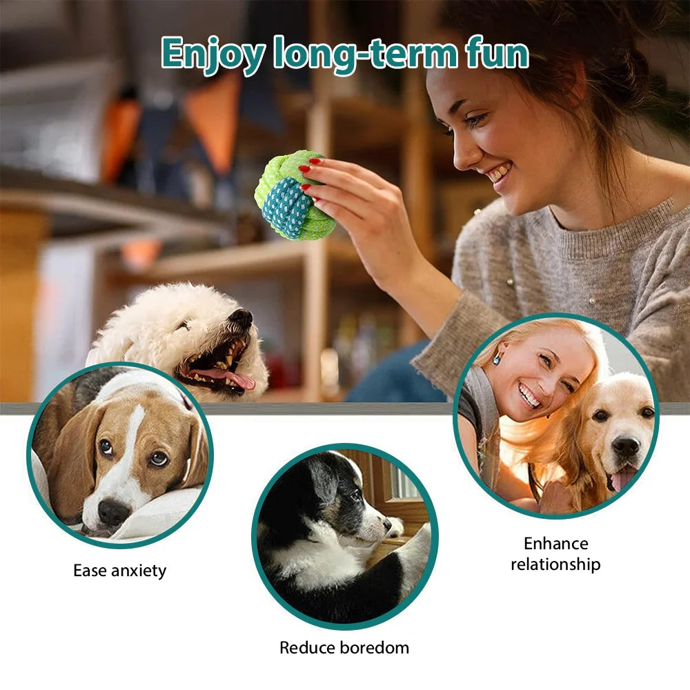 Dog Toy Set – Vibrant Chew & Squeaky Toys with Ropes for Teeth Cleaning & Play