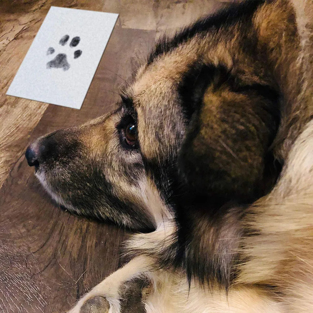 Paw Print Ink Pad Kit – Safe, Non-Toxic Inkless Pad for Pet & Baby Keepsake Prints