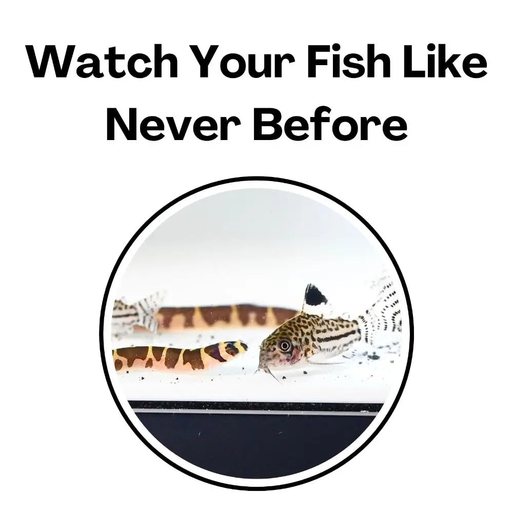 Aquarium Tunnel Cave – Curved Under Gravel Fish Tank Decoration