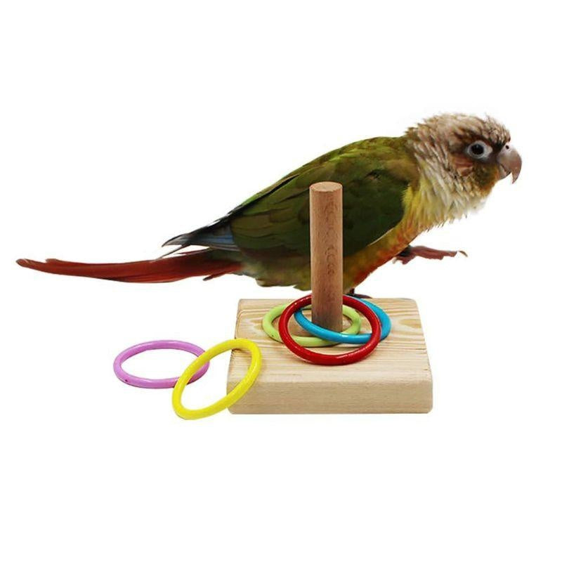 Parrot Training Ring Toy – Interactive Educational Bird Toy
