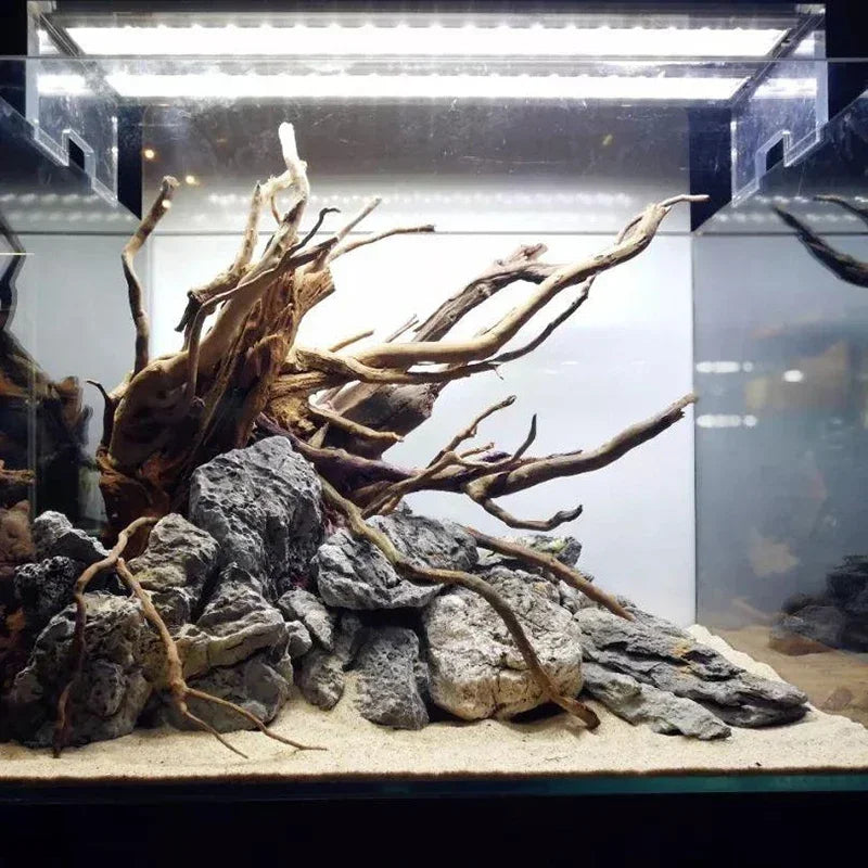 Natural Driftwood Roots – Small Aquarium Decoration & Habitat Ornament