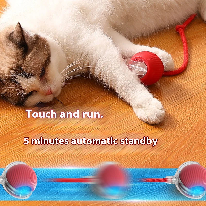 Rechargeable Smart Cat Ball – Automatic Rolling Toy with Teaser & Sensor