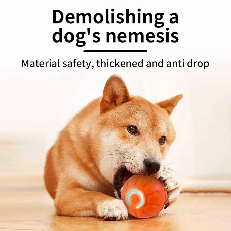 Smart Interactive Pet Toy Ball – USB Automatic Bouncing for Dogs & Cats