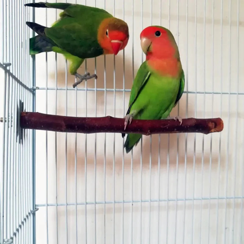 Natural Wood Branch Stand – Chew Toy Perch for Parrots, Hamsters & Birds