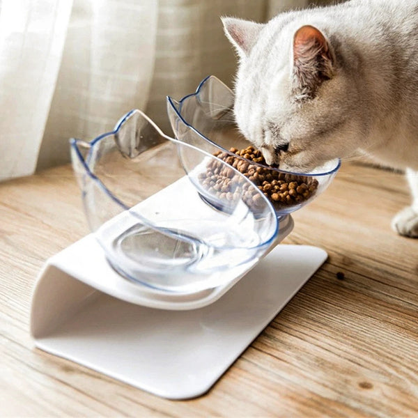 15° Tilted Cat Bowls – Non-Slip Elevated Double Feeder for Neck Protection