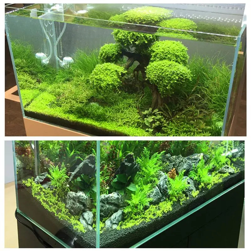 Aquarium Plant Soil – Fertile Substrate for Fish Tank Plants & Decor